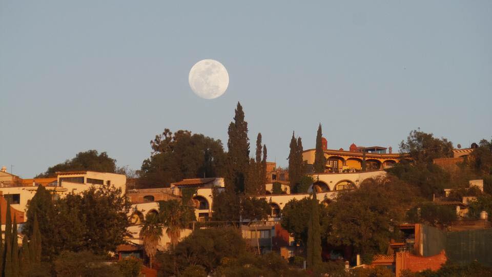 12540750_10153786812393956_2272127214926973441_n